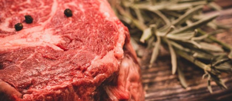 pexels-bela-bleier-1018171-5892851